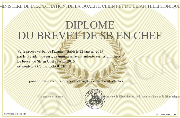 diplome sb